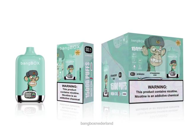 Bang Box 15000 trekjes aardbei-kiwi - Bang Box Vape Review