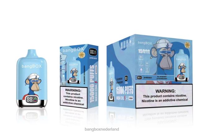 Bang Box 15000 trekjes bosbes aardbei - Bang Box Vapes