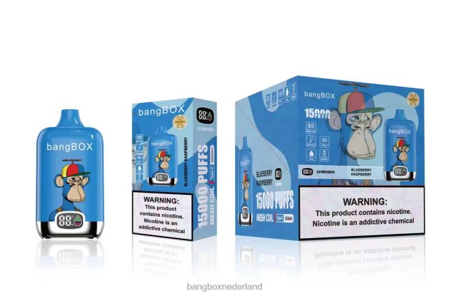 Bang Box 15000 trekjes bosbes framboos - Bang Box Vapes